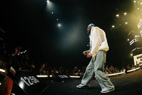 Music Concerts & Live Performances